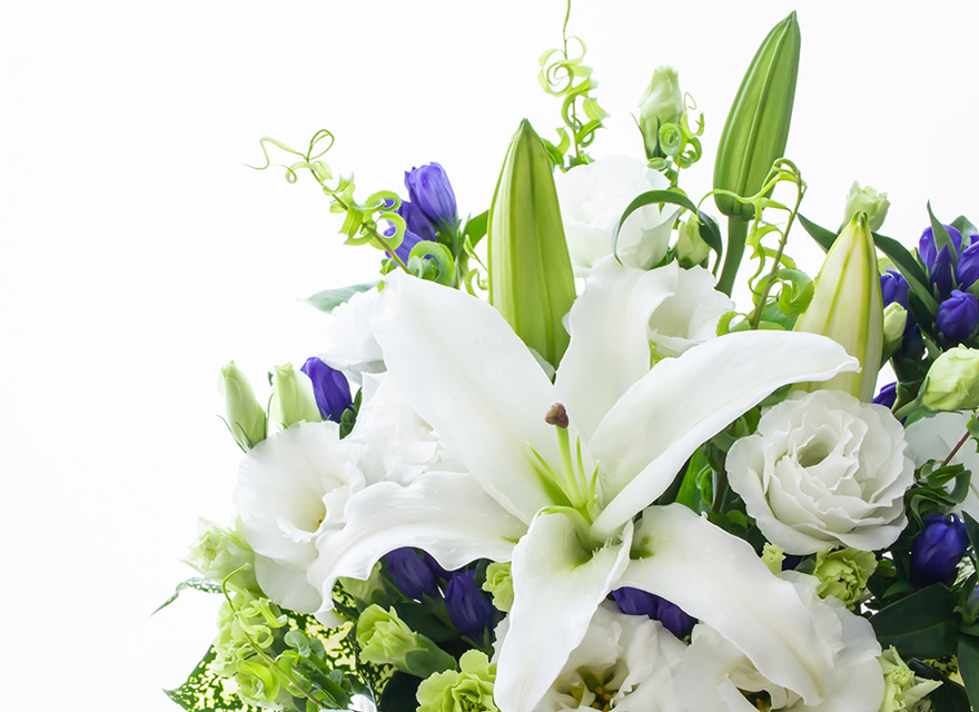 静寂の祈り ～ホワイトリリィ～