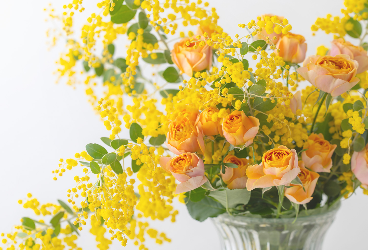 今だけの彩りで、お部屋をもっと華やかに