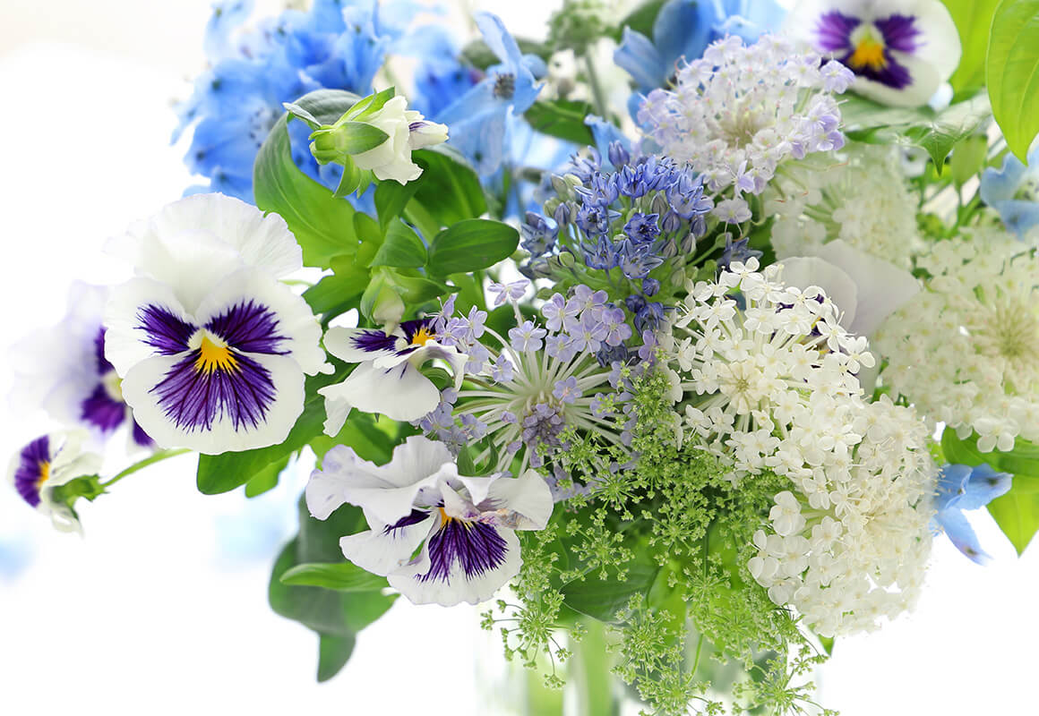 季節のめぐりを感じる、旬の花便り